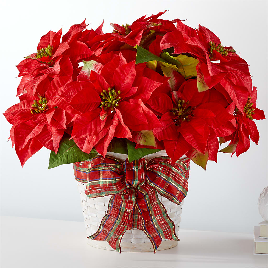 Happiest Holidays Poinsettia – Vincent Fleuriste, Sainte-julie PQ