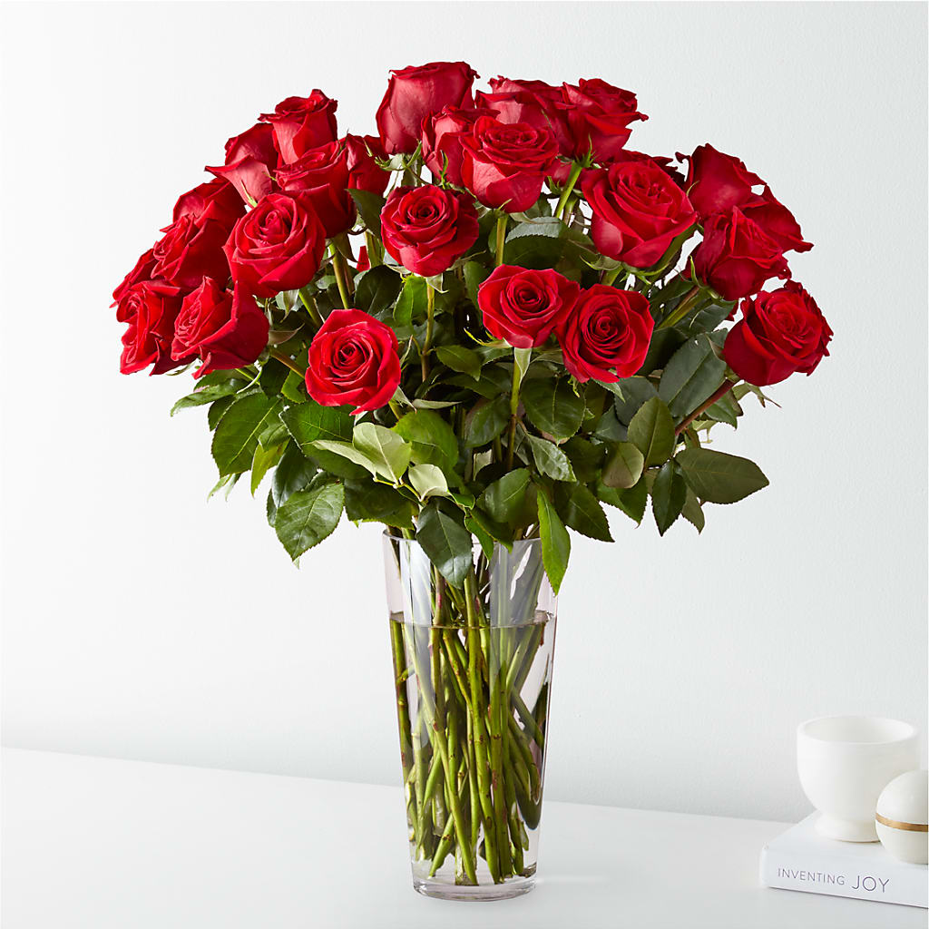 Long Stem Red Rose Bouquet – Vincent Fleuriste, Sainte-julie PQ