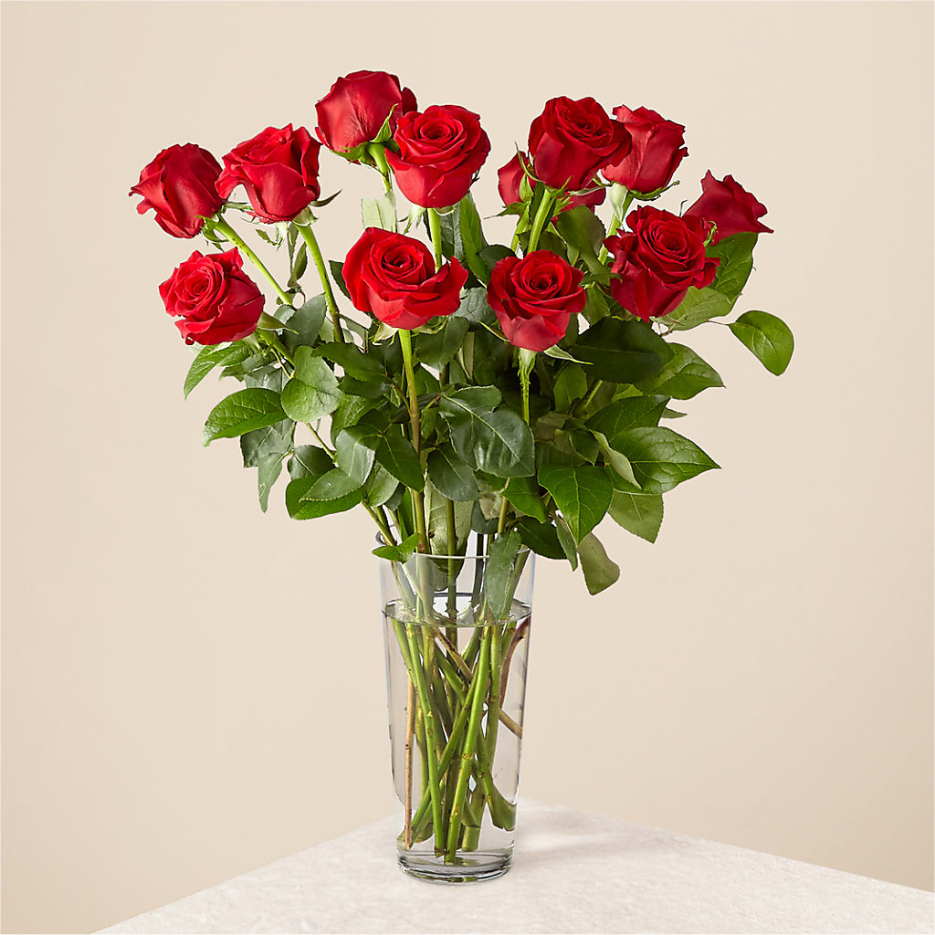 Long Stem Red Rose Bouquet – Vincent Fleuriste, Sainte-julie PQ
