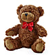 Adorable Plush Bear – Vincent Fleuriste, Sainte-julie PQ