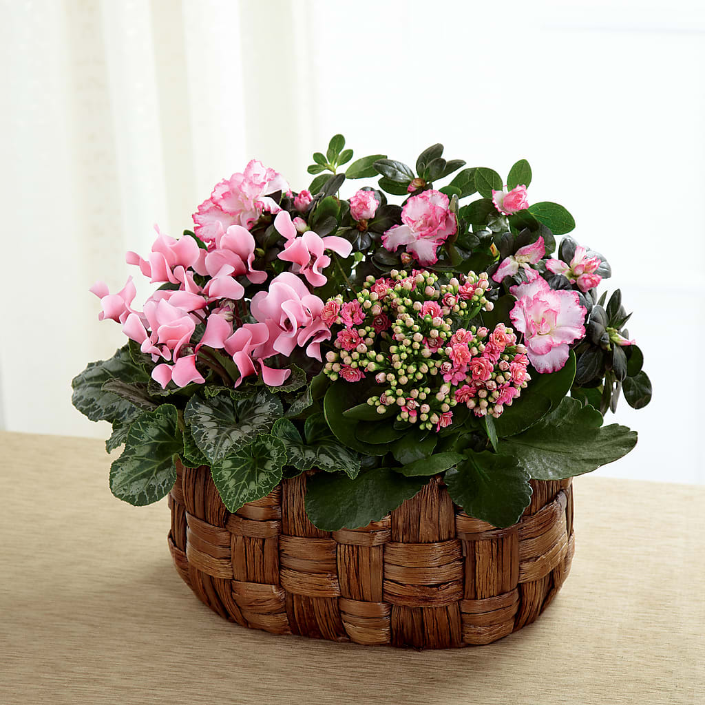 Pink Assortment – Vincent Fleuriste, Sainte-julie PQ