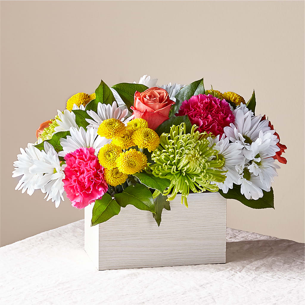 Sorbet Bouquet – Vincent Fleuriste, Sainte-julie PQ