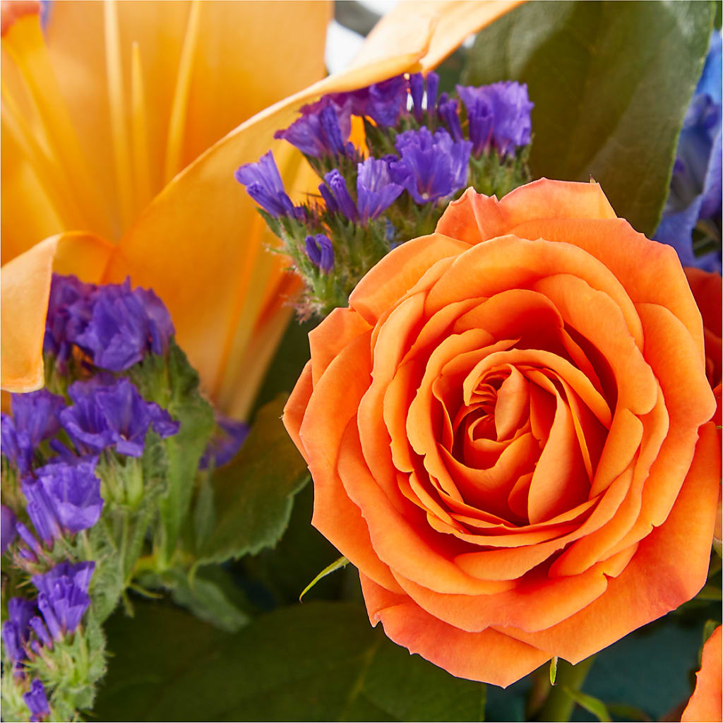 Radiant Citrus Box Bouquet – Vincent Fleuriste, Sainte-julie PQ