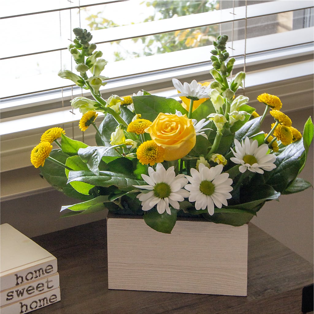 Sun Salutation Box Bouquet – Vincent Fleuriste, Sainte-julie PQ