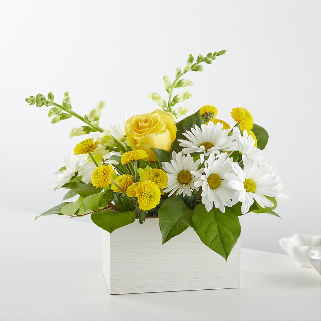 Sun Salutation Box Bouquet – Vincent Fleuriste, Sainte-julie PQ