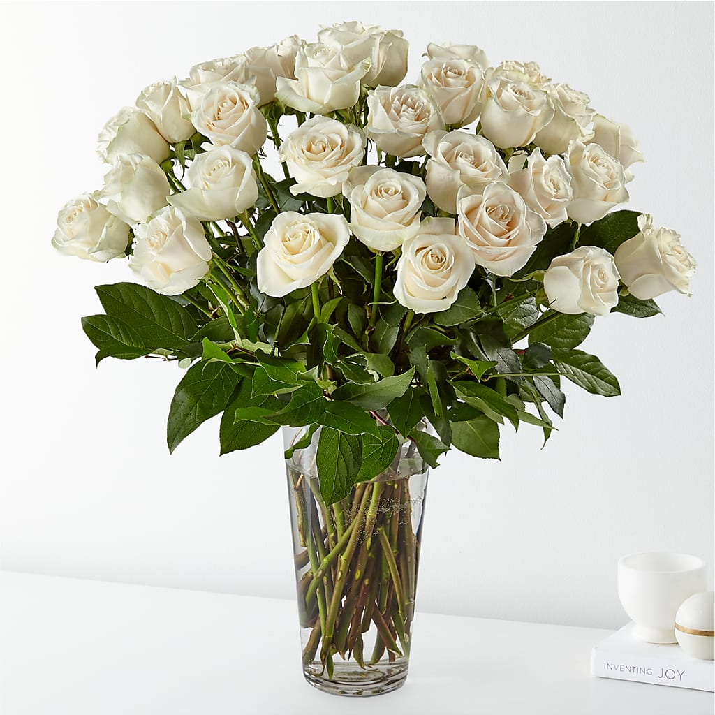 Long Stem White Rose Bouquet – Vincent Fleuriste, Sainte-julie PQ