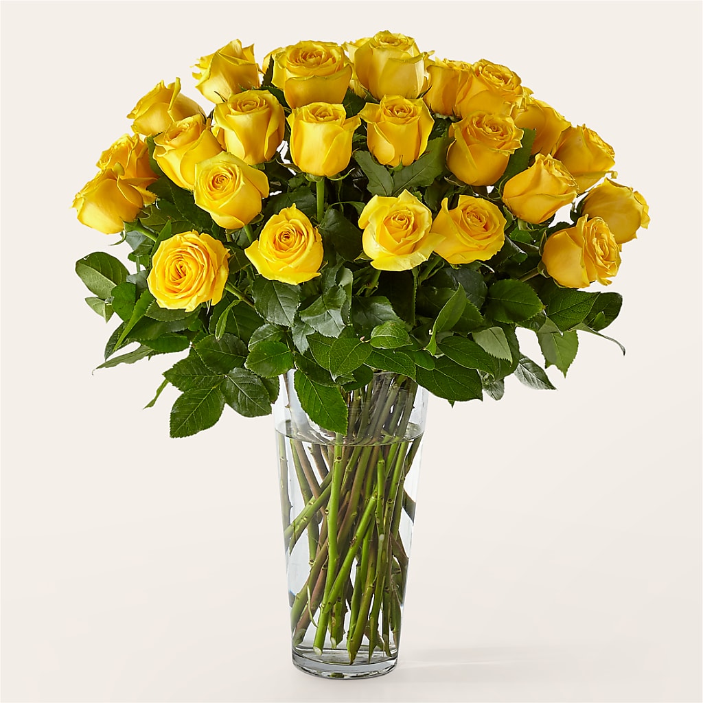 Long Stem Yellow Rose Bouquet – Vincent Fleuriste, Sainte-julie PQ