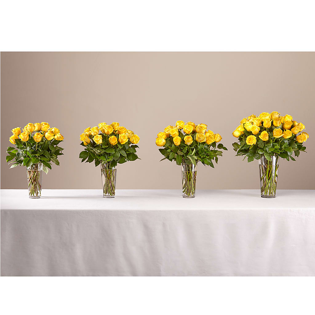 Long Stem Yellow Rose Bouquet – Vincent Fleuriste, Sainte-julie PQ