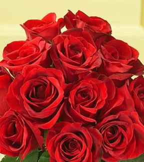 Bouquet de roses rouges – Vincent Fleuriste, Sainte-julie PQ