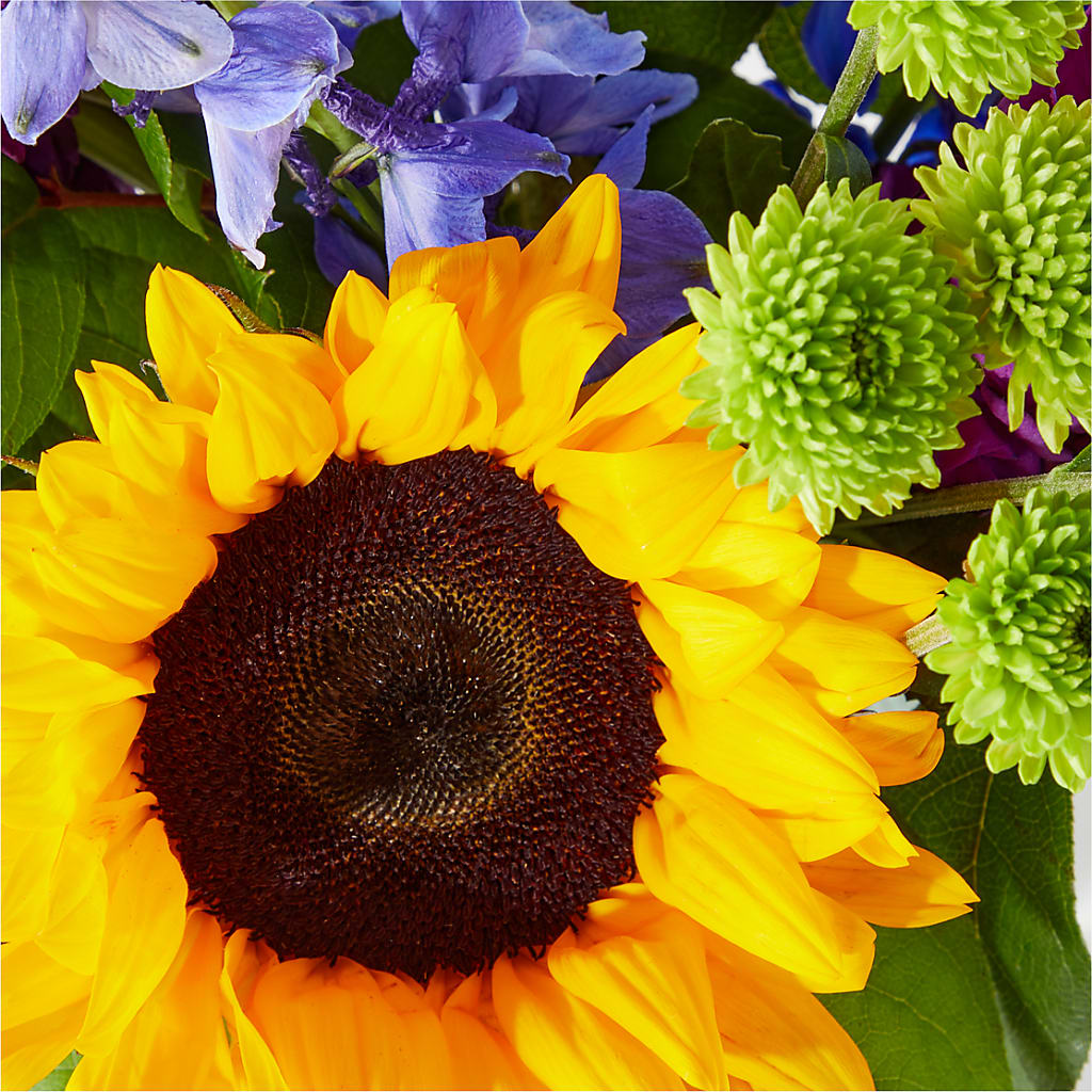 Catching Rays Bouquet – Vincent Fleuriste, Sainte-julie PQ