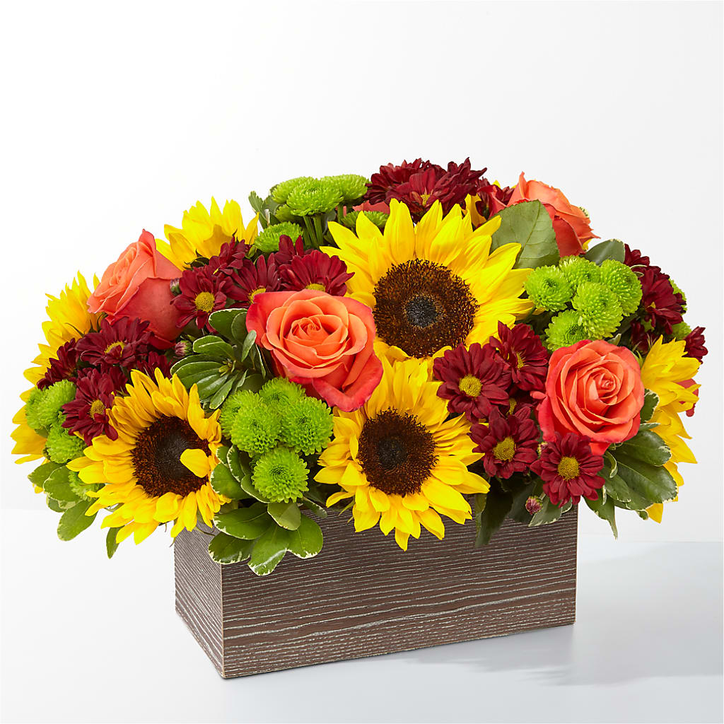 Happy Harvest Garden – Vincent Fleuriste, Sainte-julie PQ