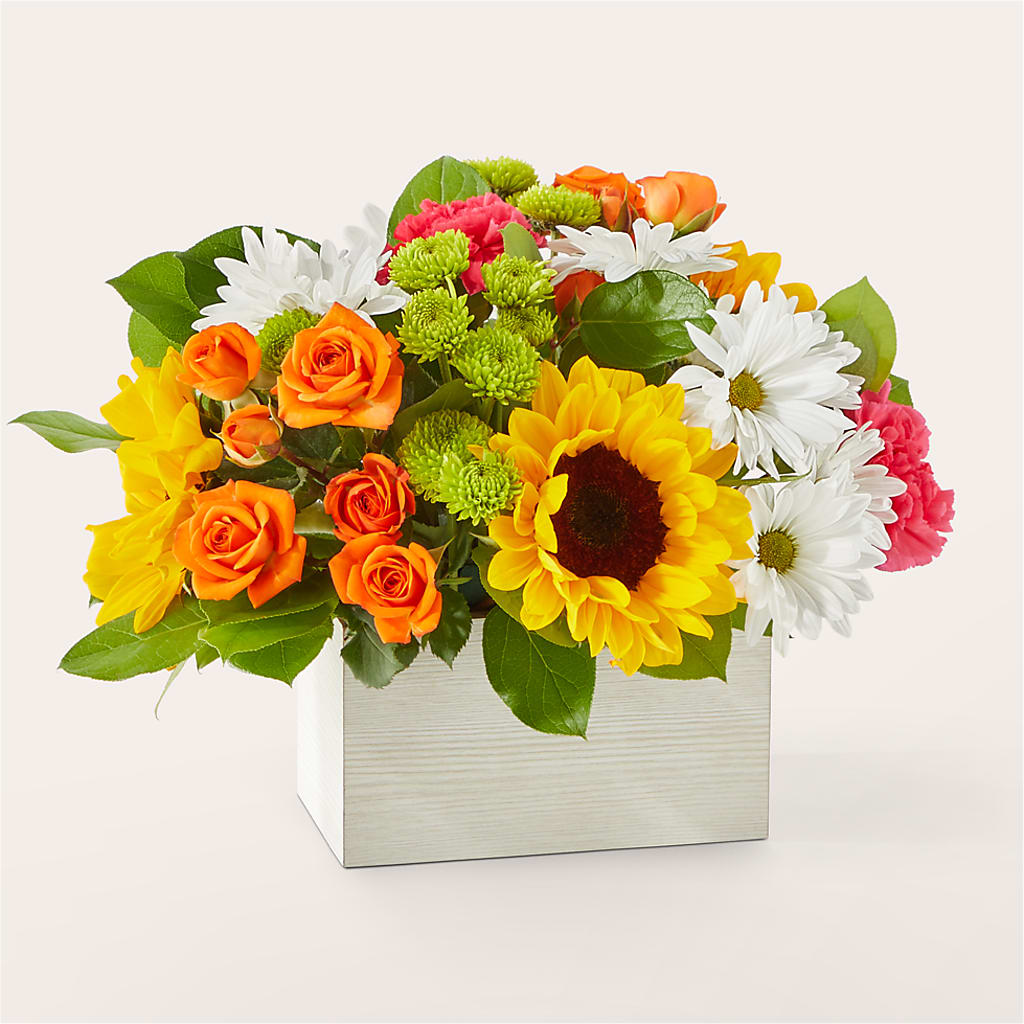 Sun-drenched Blooms Box Bouquet – Vincent Fleuriste, Sainte-julie PQ