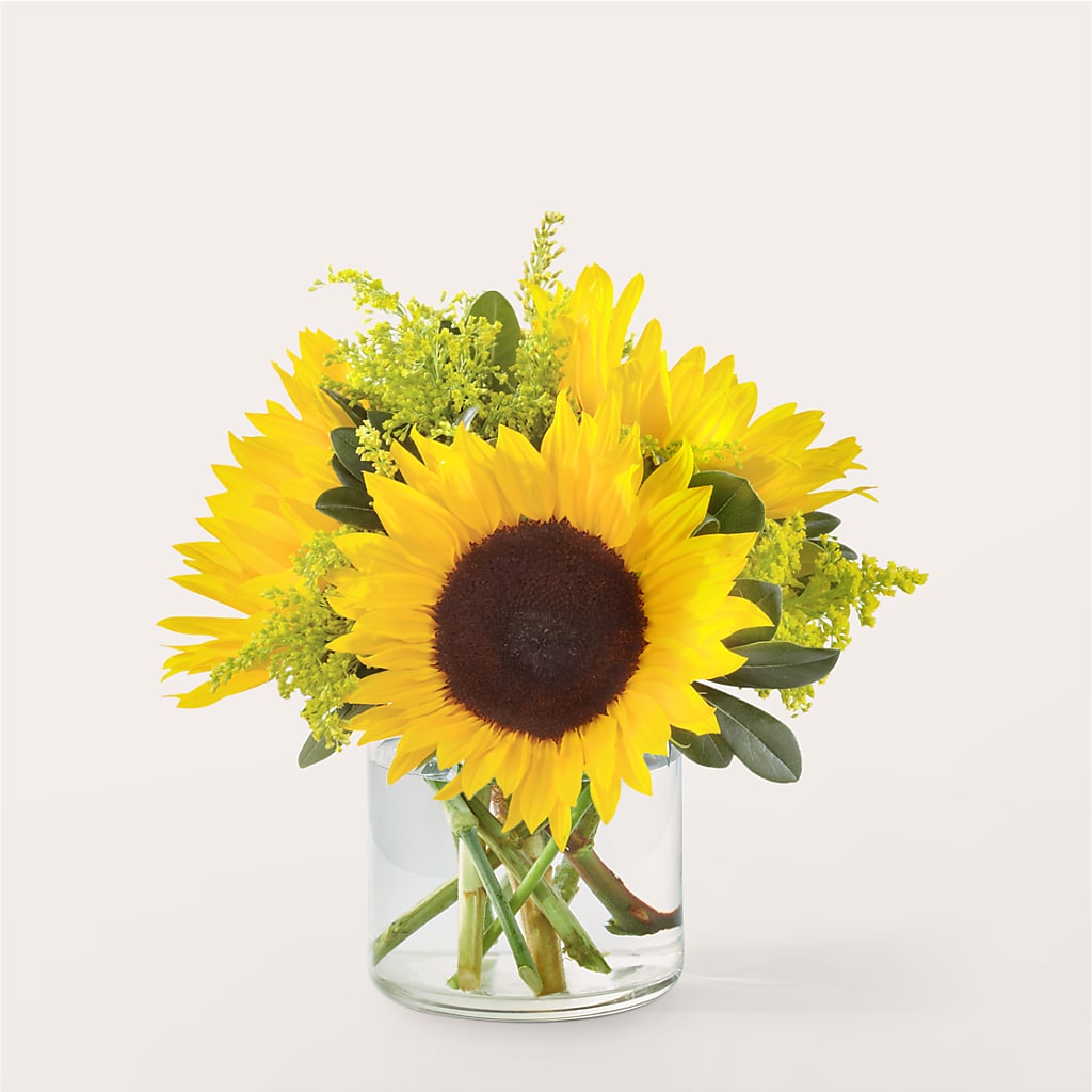 Beaming Sunflower Bouquet – Vincent Fleuriste, Sainte-julie PQ