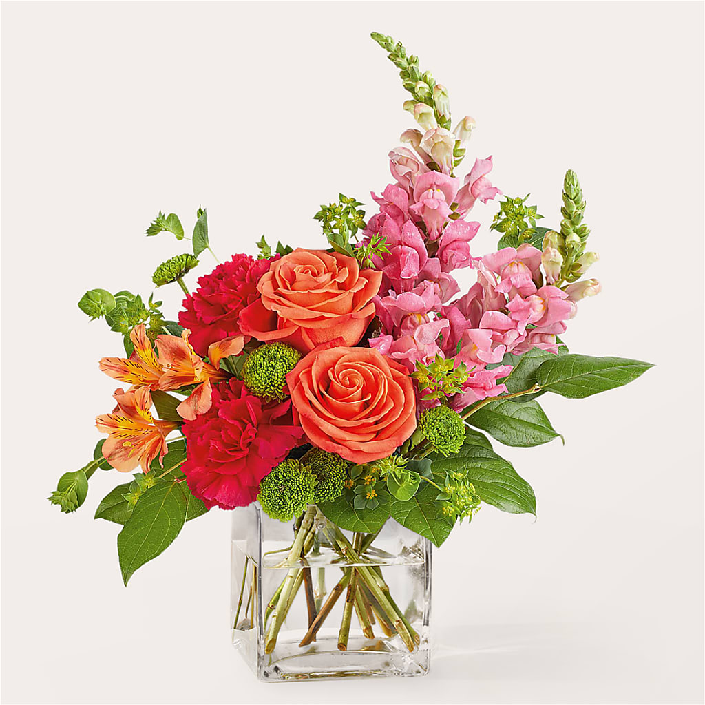 Cosmopolitan Bouquet – Vincent Fleuriste, Sainte-julie PQ