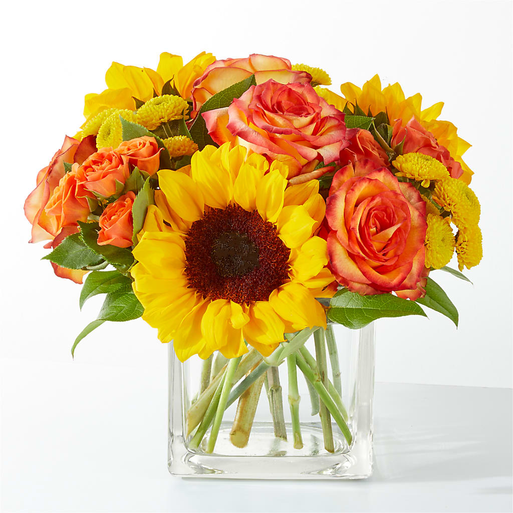 Picnic in the Park Bouquet – Vincent Fleuriste, Sainte-julie PQ
