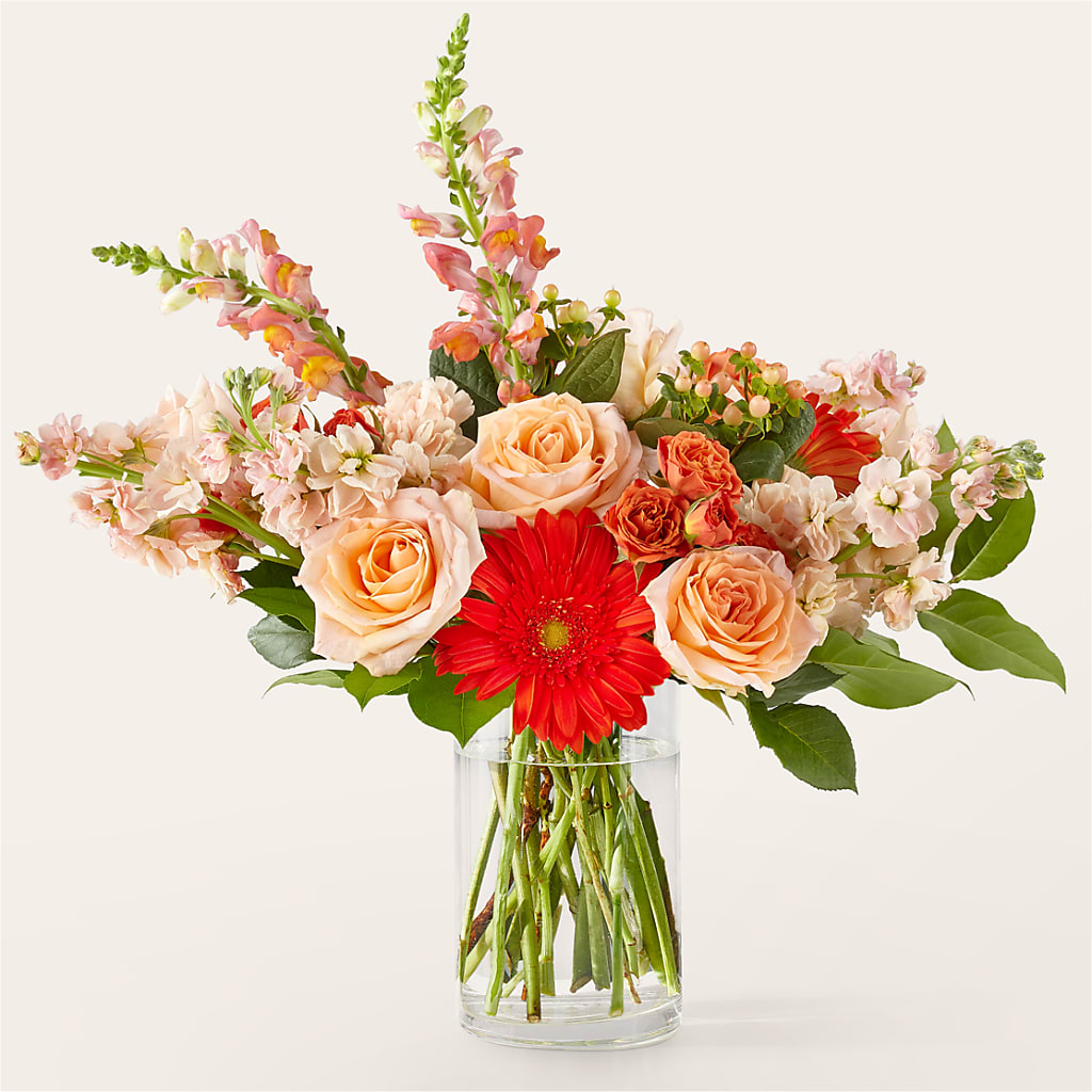 Paloma Please Bouquet – Vincent Fleuriste, Sainte-julie PQ