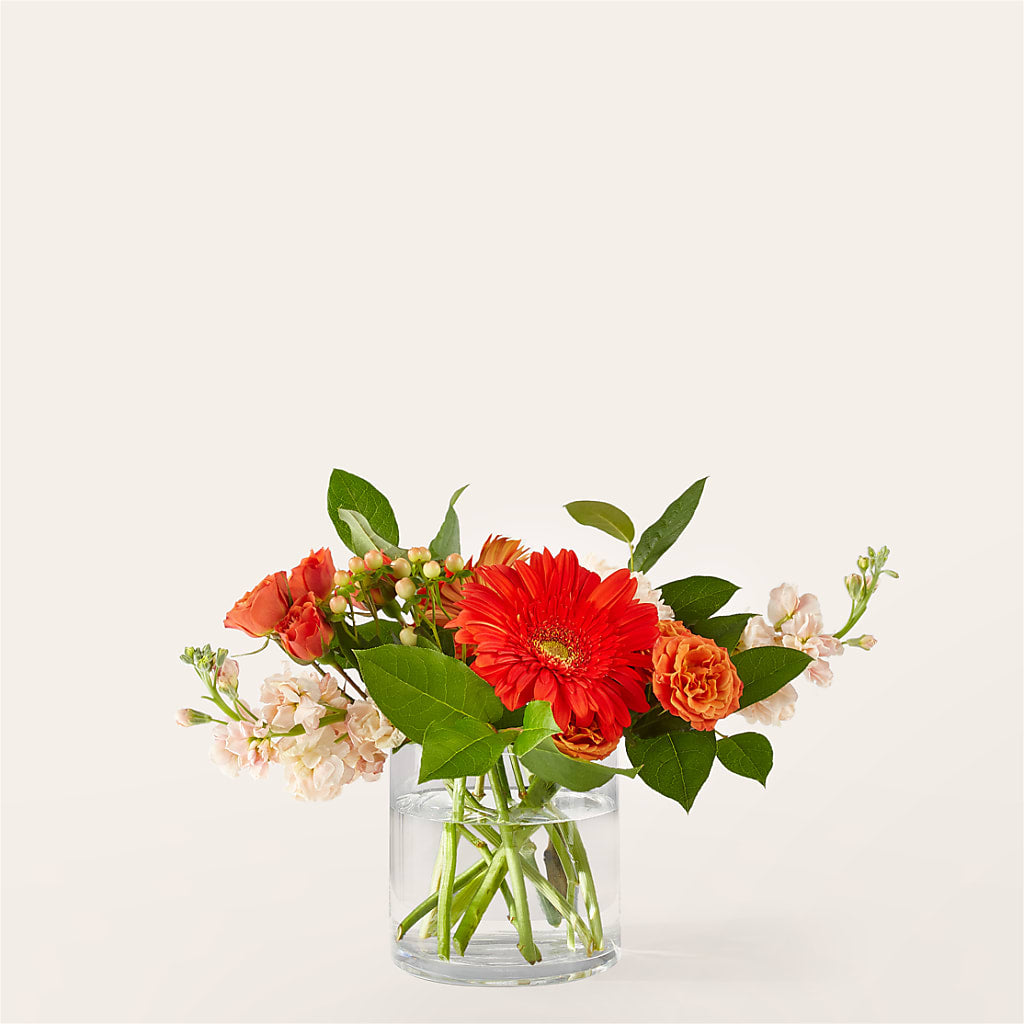 Paloma Please Bouquet – Vincent Fleuriste, Sainte-julie PQ