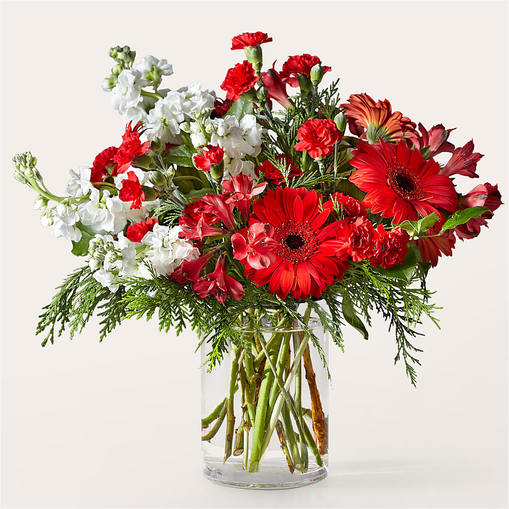 Holidaisy Bouquet – Vincent Fleuriste, Sainte-julie PQ