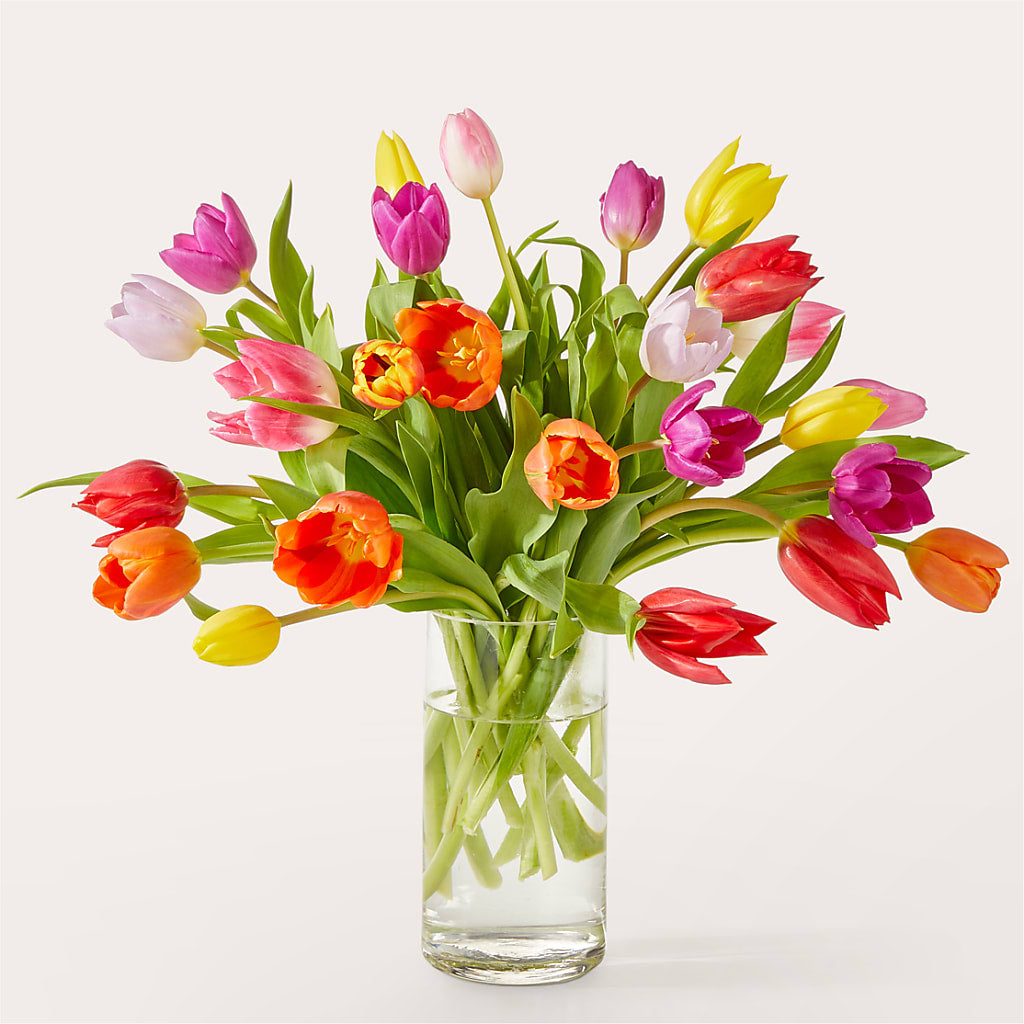 Let's Talk Tulips Bouquet – Vincent Fleuriste, Sainte-julie PQ