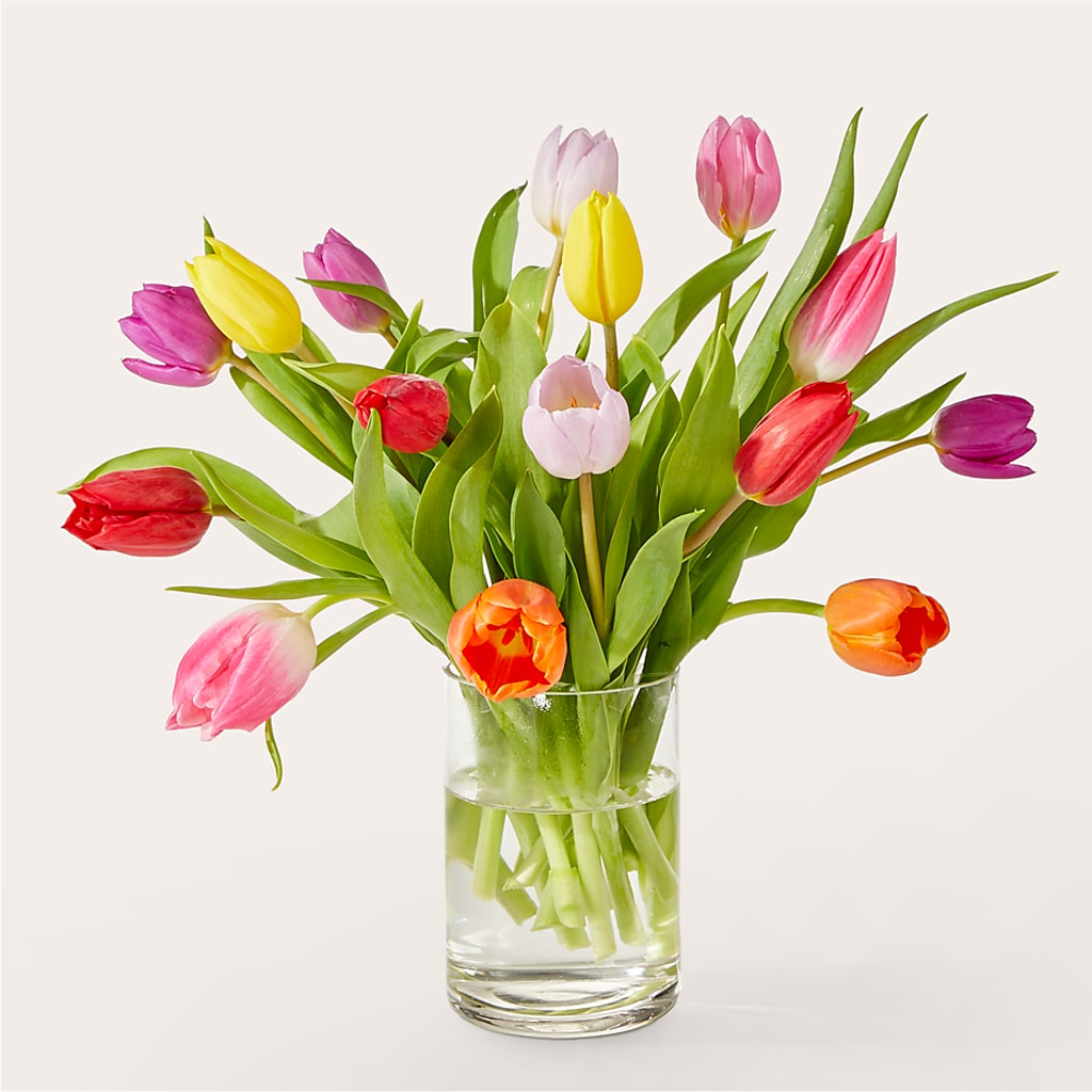 Let's Talk Tulips Bouquet – Vincent Fleuriste, Sainte-julie PQ