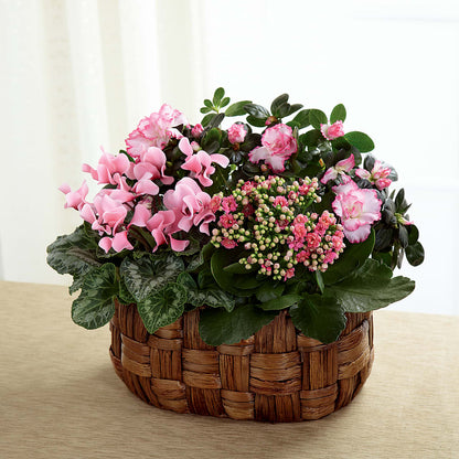 Pink Assortment –  Vincent Fleuriste, Sainte-julie PQ