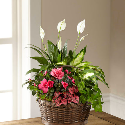 Dream in Pink Dishgarden –  Vincent Fleuriste, Sainte-julie PQ