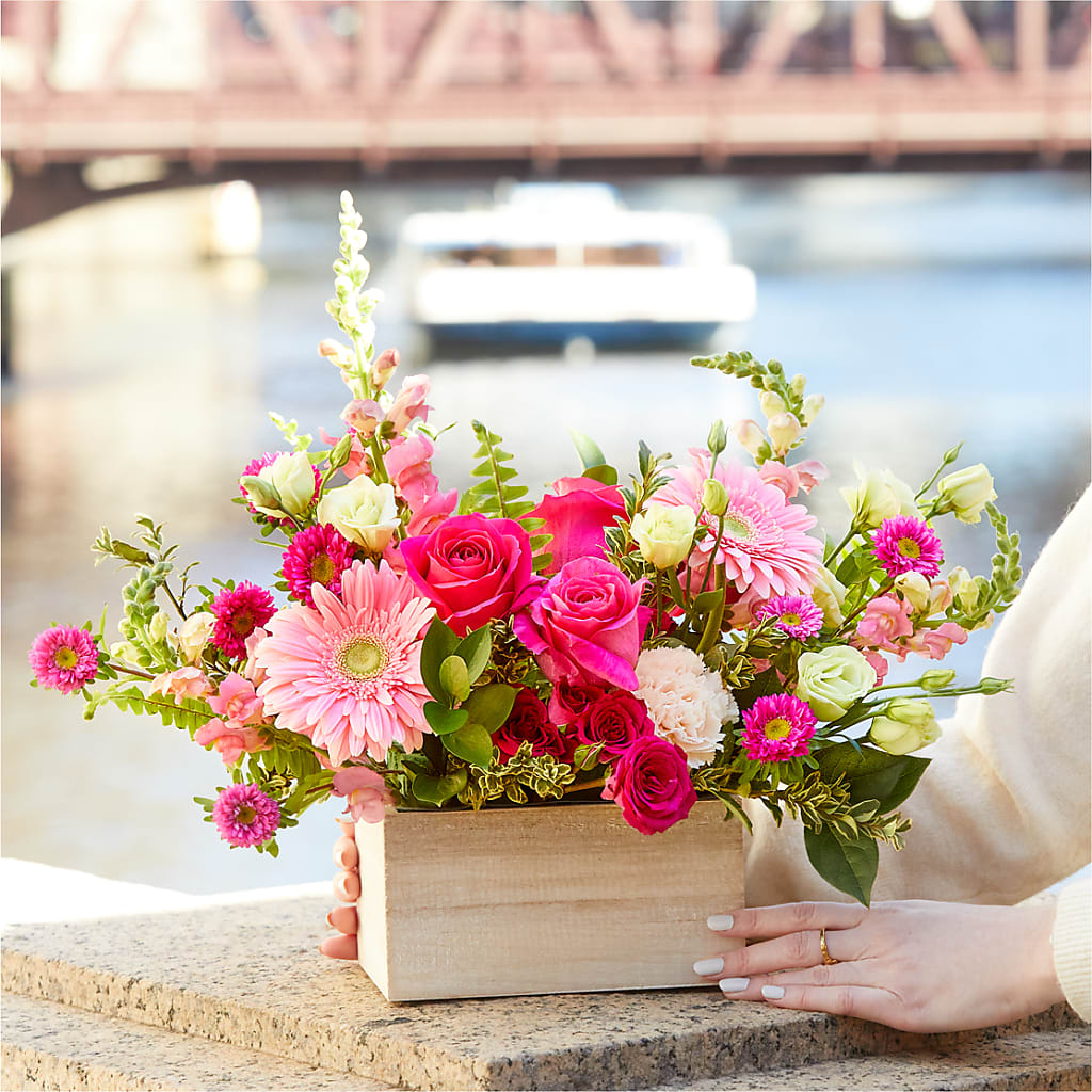 Too Cute Bouquet –  Vincent Fleuriste, Sainte-julie PQ