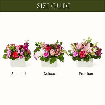 Sweetberry Box – A Florist Original –  Vincent Fleuriste, Sainte-julie PQ