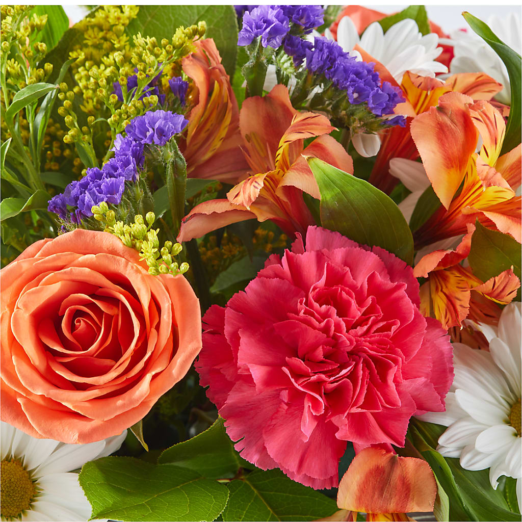 Oopsie Daisy Box Bouquet –  Vincent Fleuriste, Sainte-julie PQ