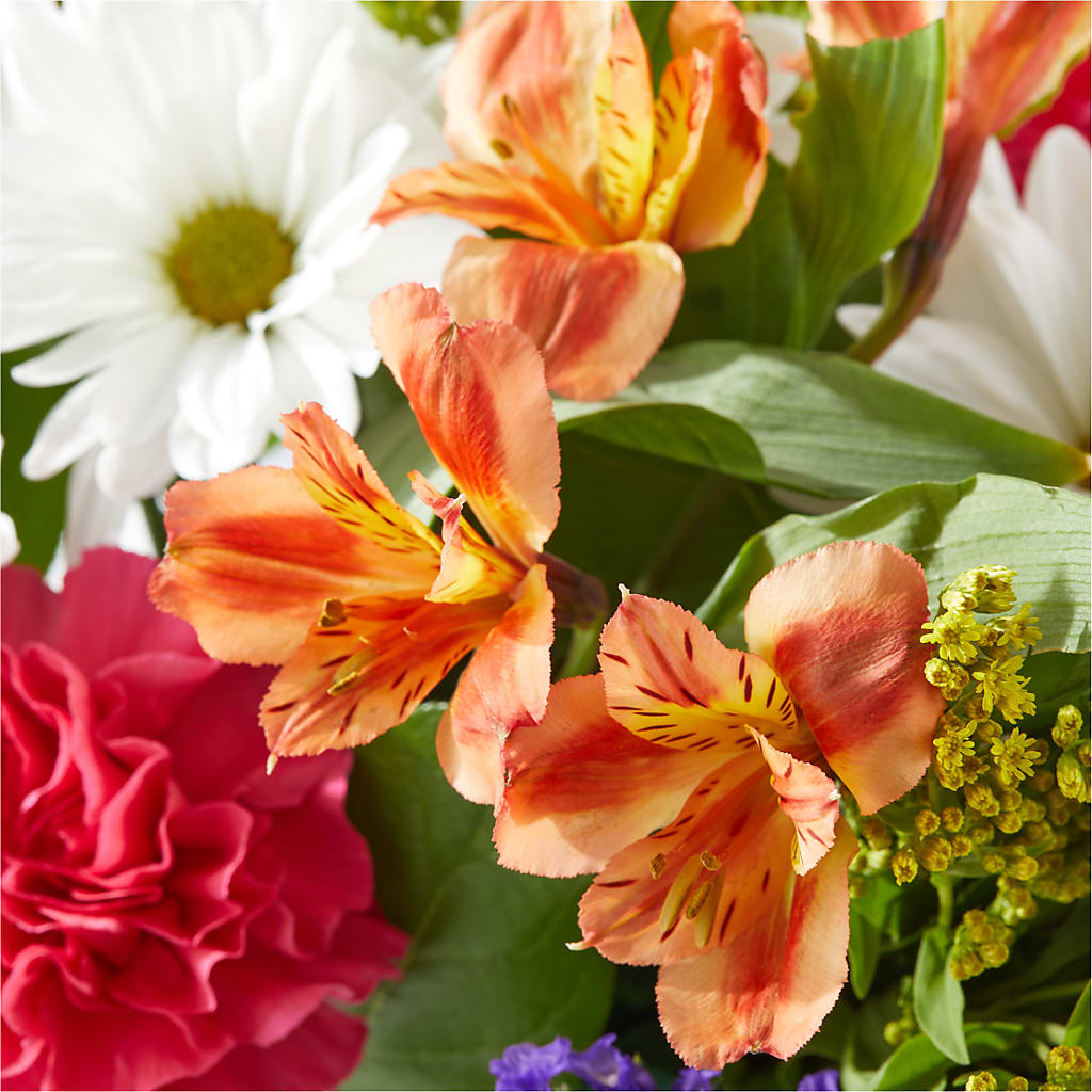 Oopsie Daisy Box Bouquet –  Vincent Fleuriste, Sainte-julie PQ