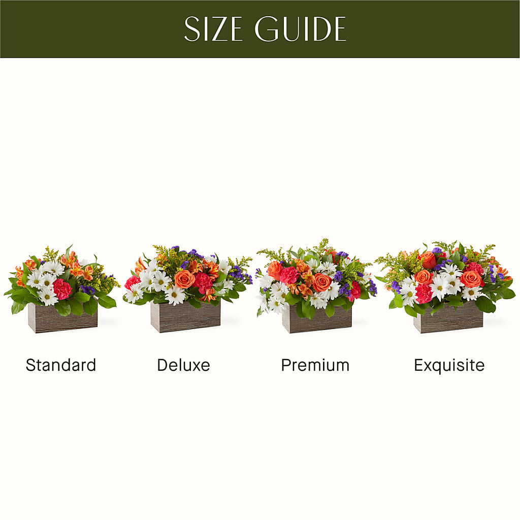 Oopsie Daisy Box Bouquet –  Vincent Fleuriste, Sainte-julie PQ