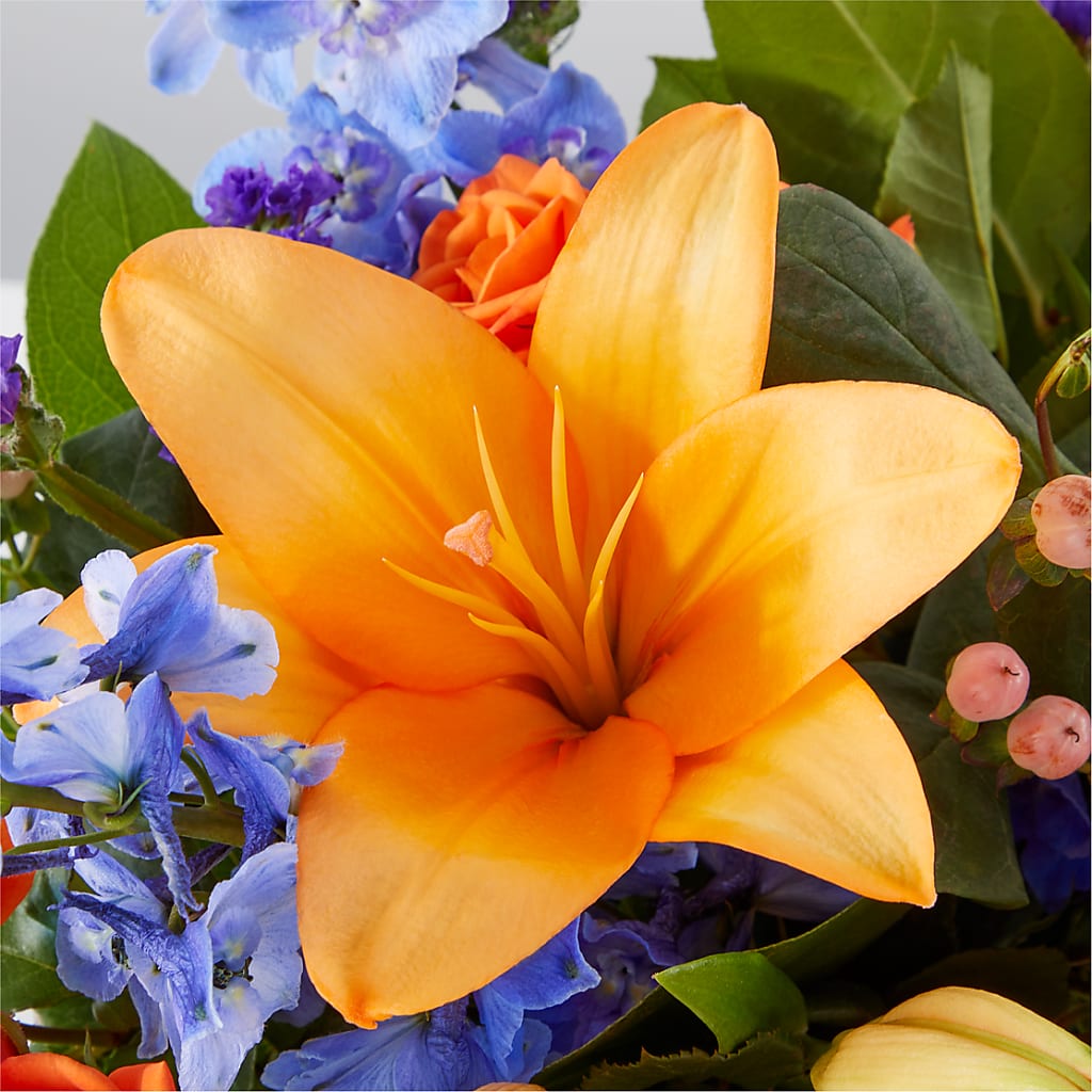 Radiant Citrus Box Bouquet –  Vincent Fleuriste, Sainte-julie PQ