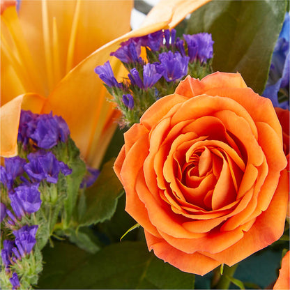 Radiant Citrus Box Bouquet –  Vincent Fleuriste, Sainte-julie PQ