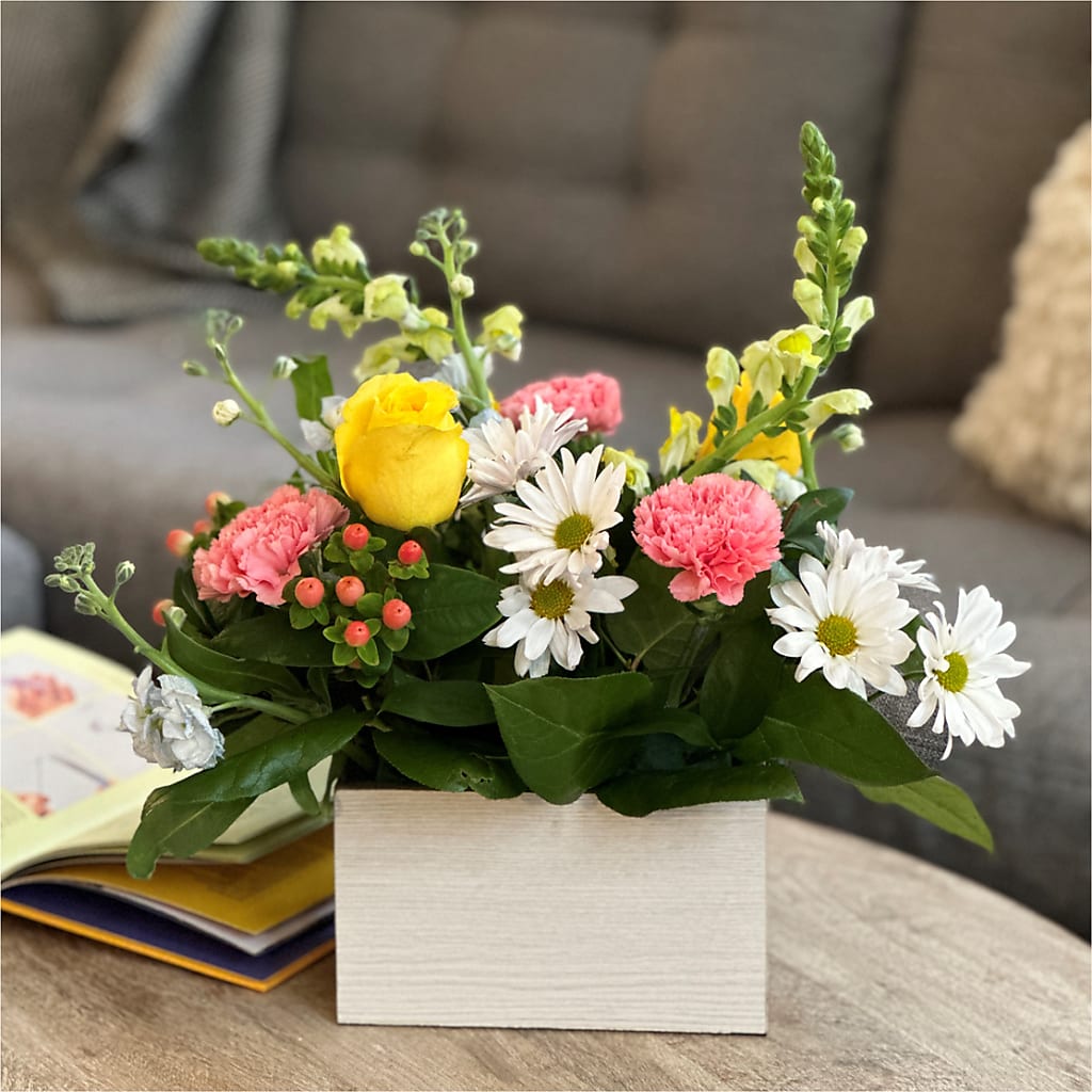 Sun Salutation Box Bouquet –  Vincent Fleuriste, Sainte-julie PQ
