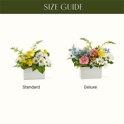 Sun Salutation Box Bouquet –  Vincent Fleuriste, Sainte-julie PQ