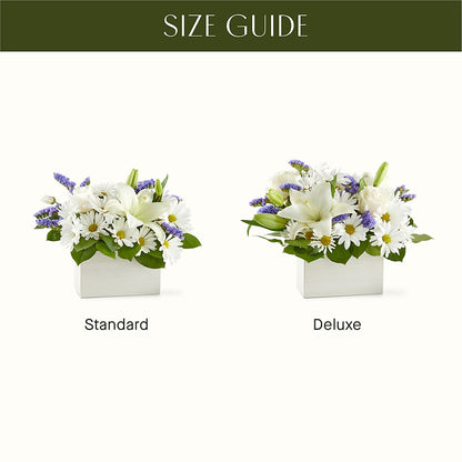 Beyond Blue Box Bouquet –  Vincent Fleuriste, Sainte-julie PQ