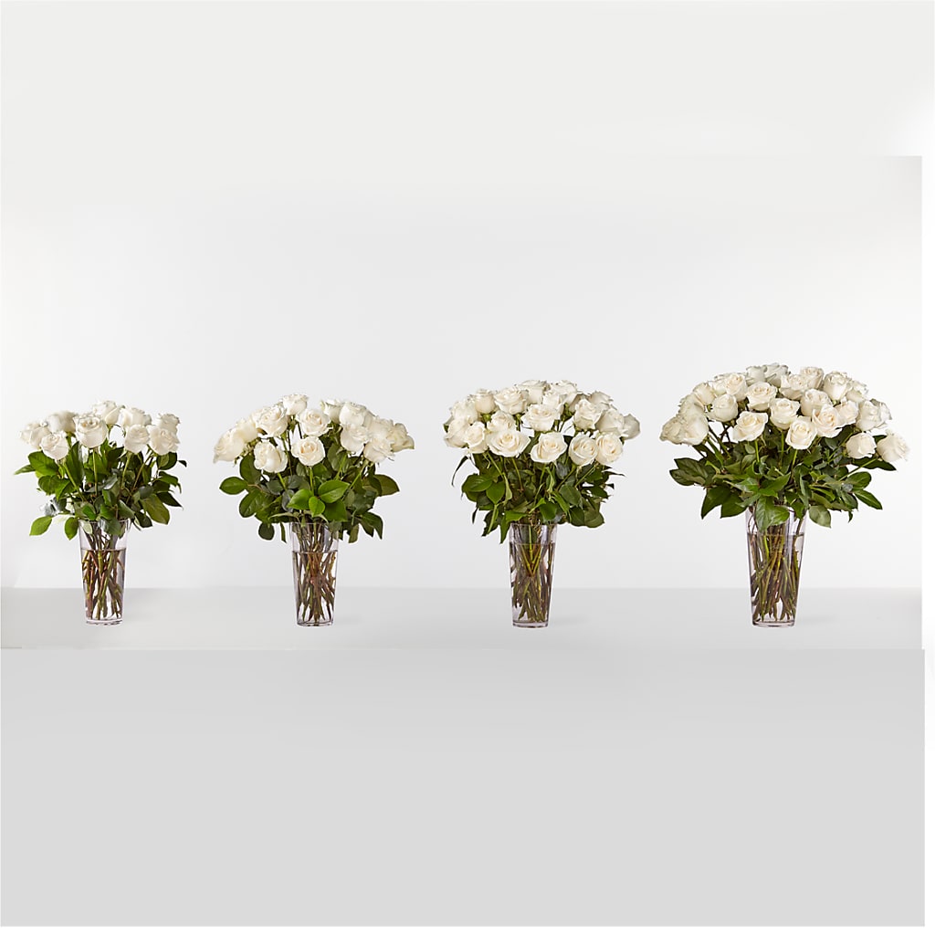 Long Stem White Rose Bouquet –  Vincent Fleuriste, Sainte-julie PQ