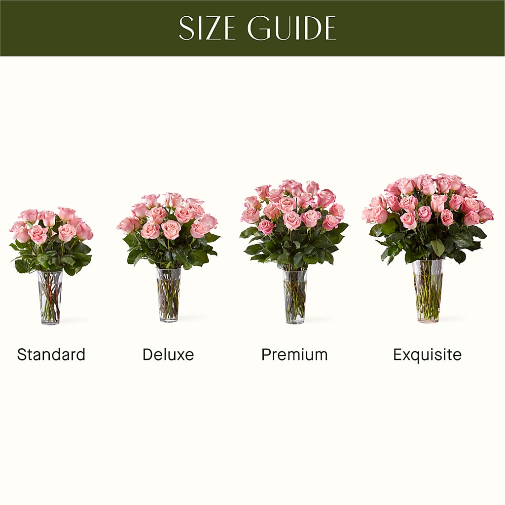 Long Stem Pink Rose Bouquet –  Vincent Fleuriste, Sainte-julie PQ