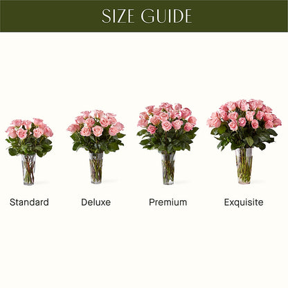 Long Stem Pink Rose Bouquet –  Vincent Fleuriste, Sainte-julie PQ