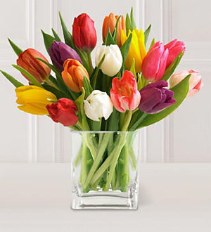 Bouquet de Tulipes