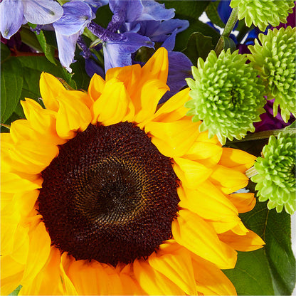 Catching Rays Bouquet –  Vincent Fleuriste, Sainte-julie PQ