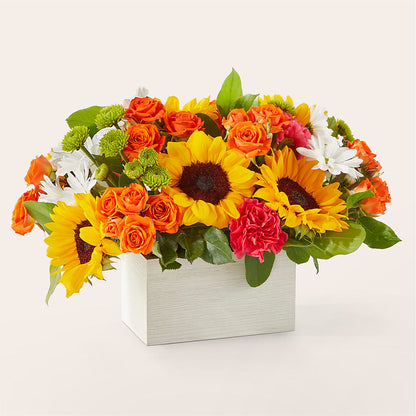 Sun-drenched Blooms Box Bouquet –  Vincent Fleuriste, Sainte-julie PQ