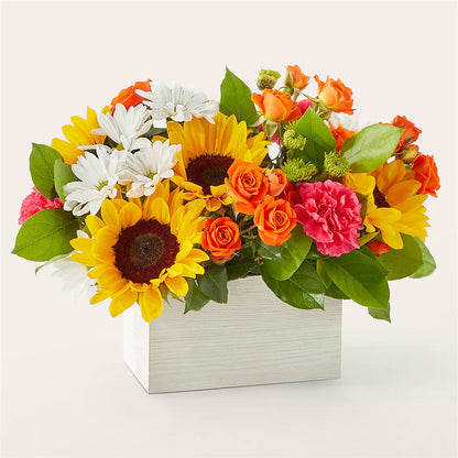 Sun-drenched Blooms Box Bouquet –  Vincent Fleuriste, Sainte-julie PQ