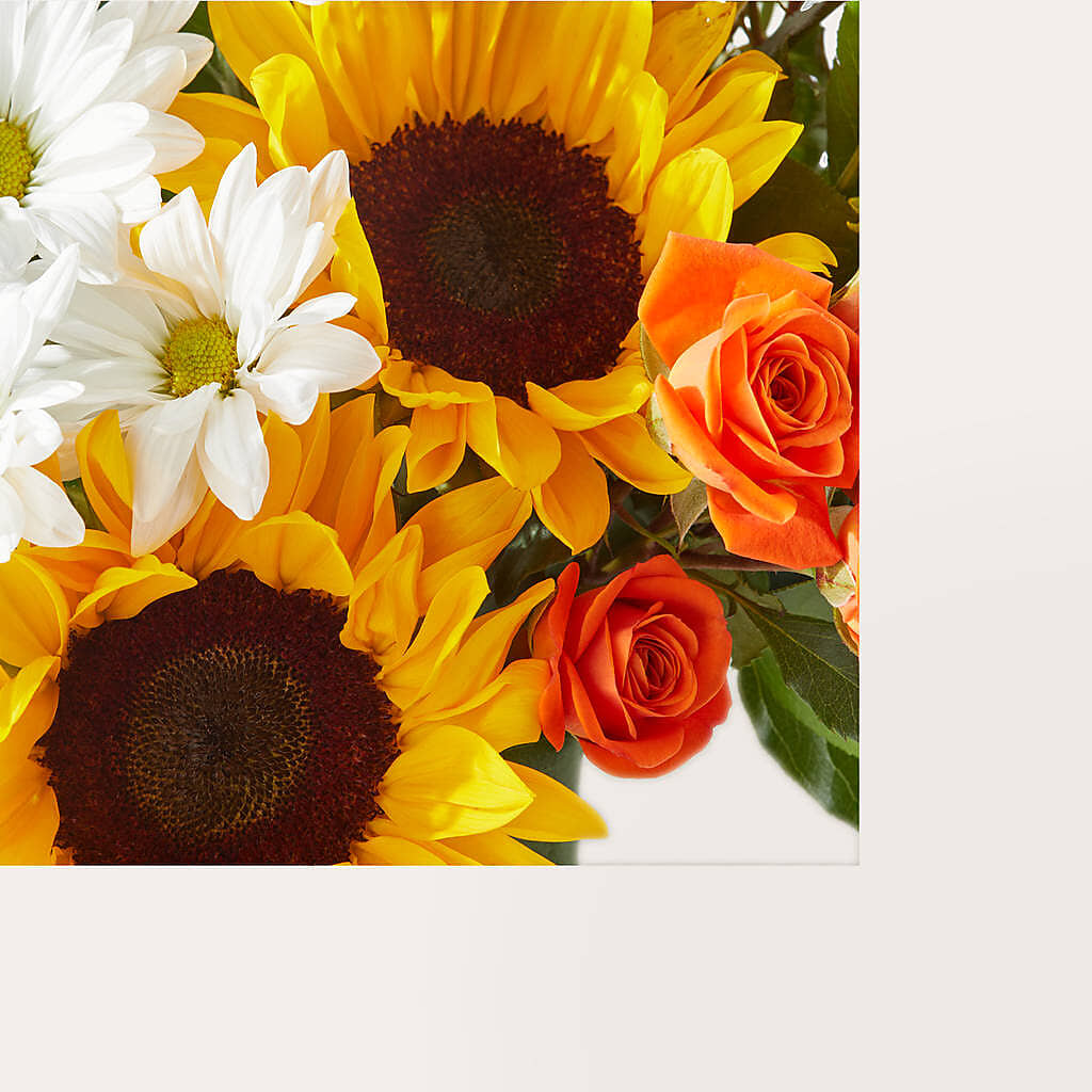 Sun-drenched Blooms Box Bouquet –  Vincent Fleuriste, Sainte-julie PQ