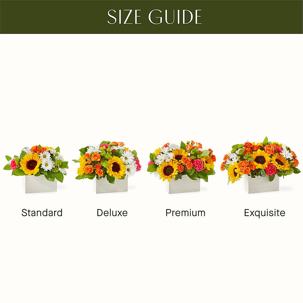 Sun-drenched Blooms Box Bouquet –  Vincent Fleuriste, Sainte-julie PQ