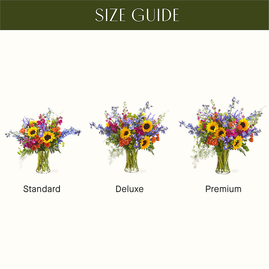 Rays of Life Bouquet –  Vincent Fleuriste, Sainte-julie PQ