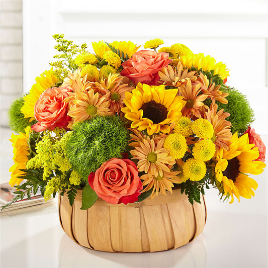 Harvest Sunflower Basket –  Vincent Fleuriste, Sainte-julie PQ