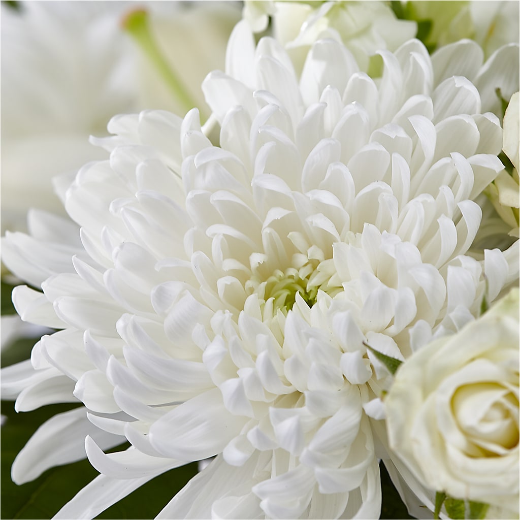 Classic Ivory – A Florist Original –  Vincent Fleuriste, Sainte-julie PQ
