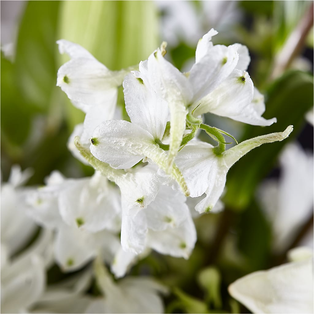 Classic Ivory – A Florist Original –  Vincent Fleuriste, Sainte-julie PQ