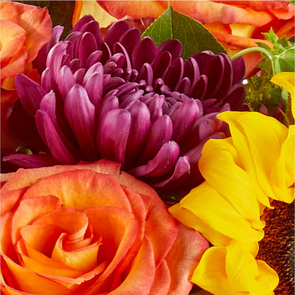 Nature Walk Bouquet –  Vincent Fleuriste, Sainte-julie PQ